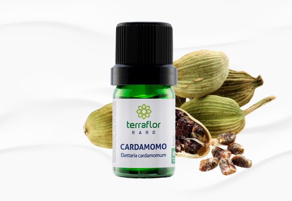 Cardamomo Óleo Essencial - Revigorante & Digestório - 5ml