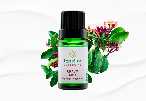 Cravo Folha Óleo Essencial - Anestésico & Analgésico - 10ml