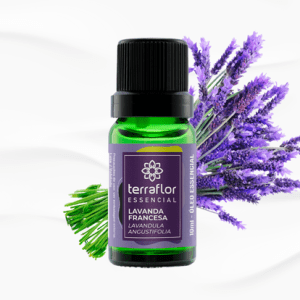 Lavanda Francesa Óleo Essencial - Serenidade & Equilíbrio Emocional - 10ml