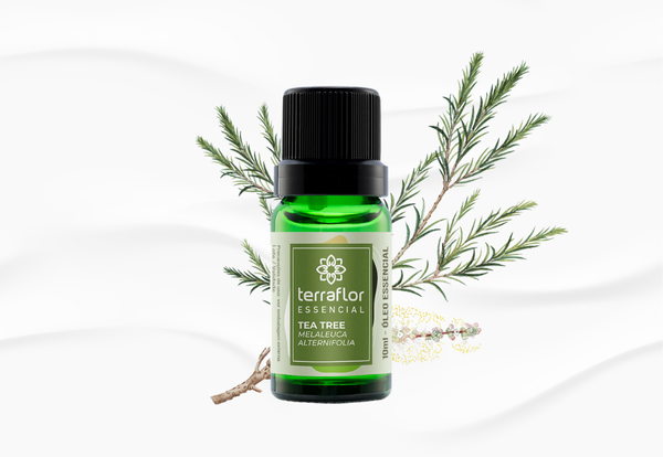 Tea Tree Melaleuca Óleo Essencial - Antibacteriano & Antifúngico - 10ml